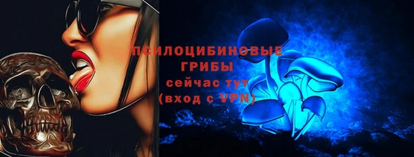 а пвп мука Беломорск
