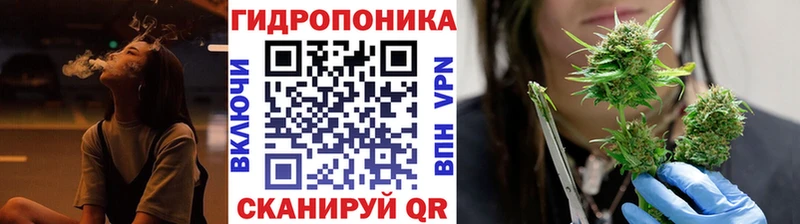 площадка наркотические препараты  как найти наркотики  Олёкминск  Бошки Шишки ГИДРОПОН 